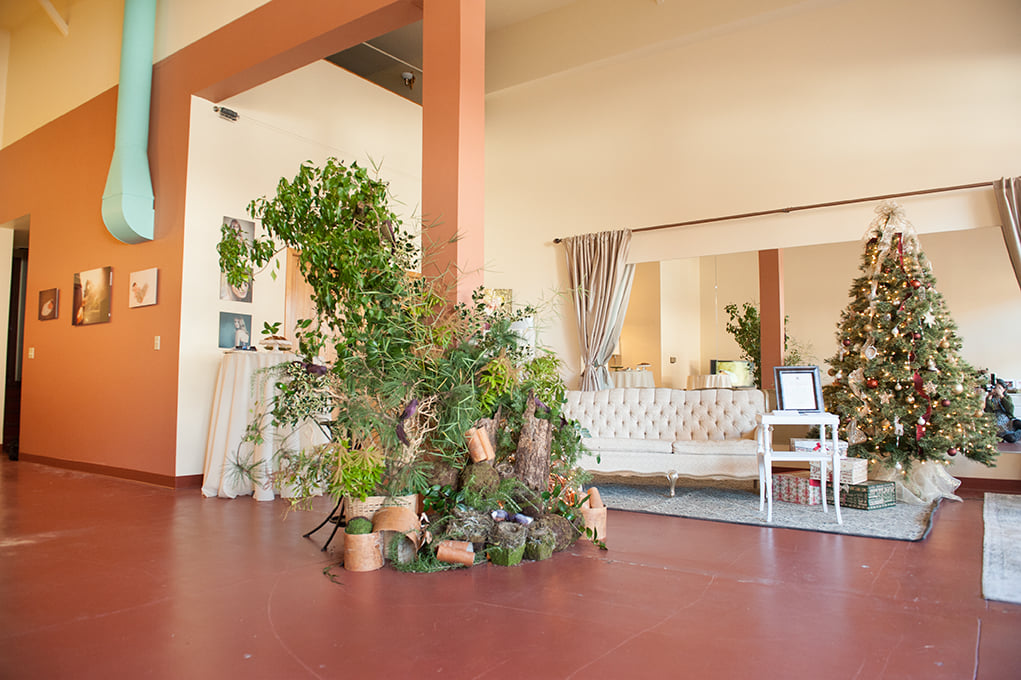 Photographer-Portland-Oregon-wedding-newborn-picture-10