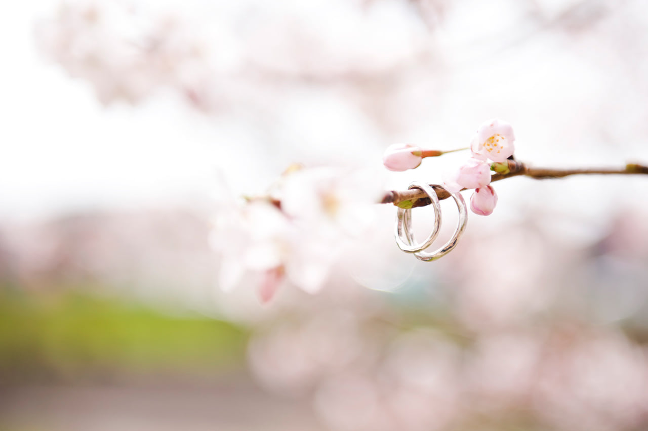 Kimi-Photography-Wedding-Photographer-Portland-Oregon-engagement-picture